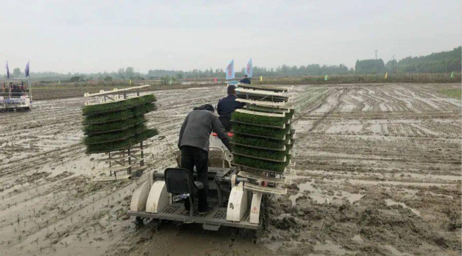天博体育官方各种新、奇、特新型农机装备亮相湖北省田间展(图9)